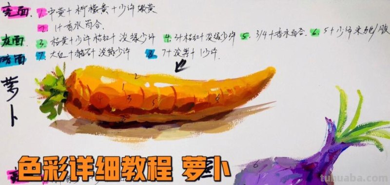 色彩萝卜画法：用色彩萝卜打造缤纷画作 