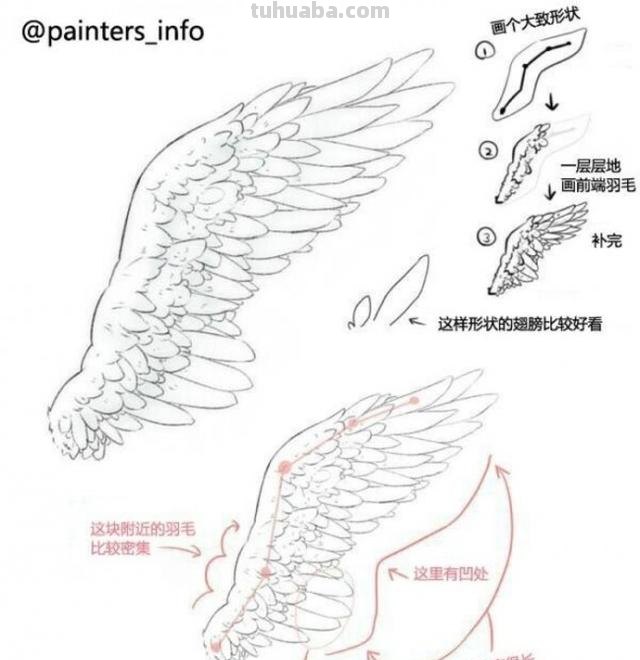 简笔画天使翅膀怎么画 如何才能画出一对好看的翅膀？我没有什么画画功底的？