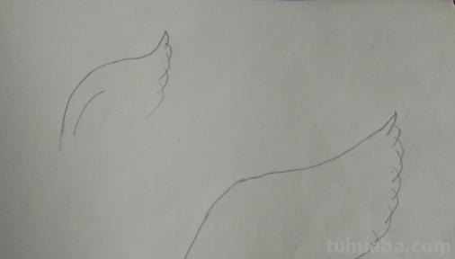 简笔画天使翅膀怎么画 如何才能画出一对好看的翅膀？我没有什么画画功底的？