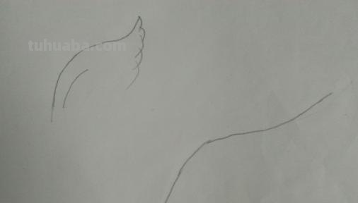 简笔画天使翅膀怎么画 如何才能画出一对好看的翅膀？我没有什么画画功底的？