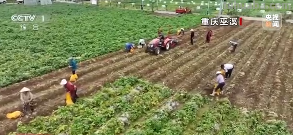 换个角度“瞰”田野 一起来感受色彩之下的丰收喜悦