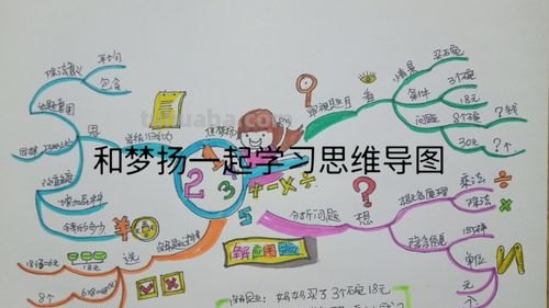 怎么设置思维导图问题 高中做题目的思维导图怎么做？