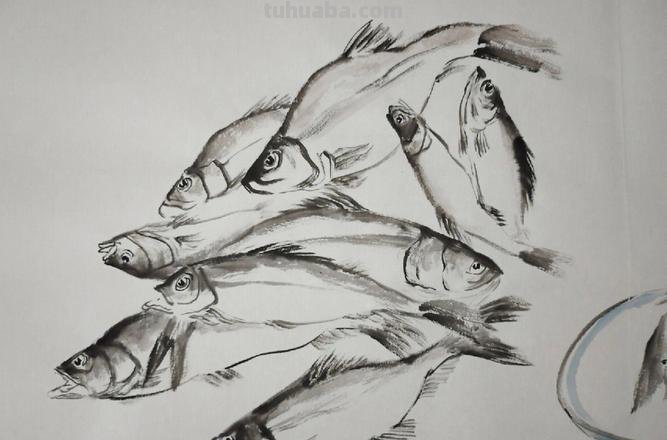 鱼临摹速写 素描画鱼怎样画步骤？