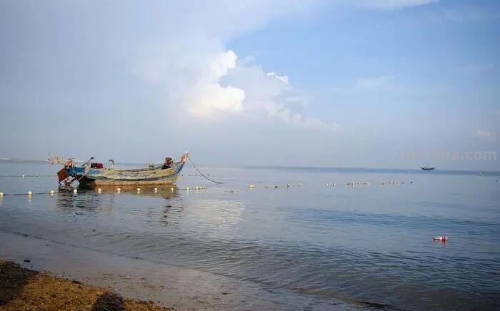 出海的意思