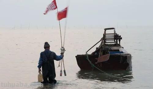 出海的意思