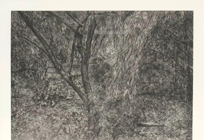 大师卢西安·弗洛伊德素描作品︱艺术名画