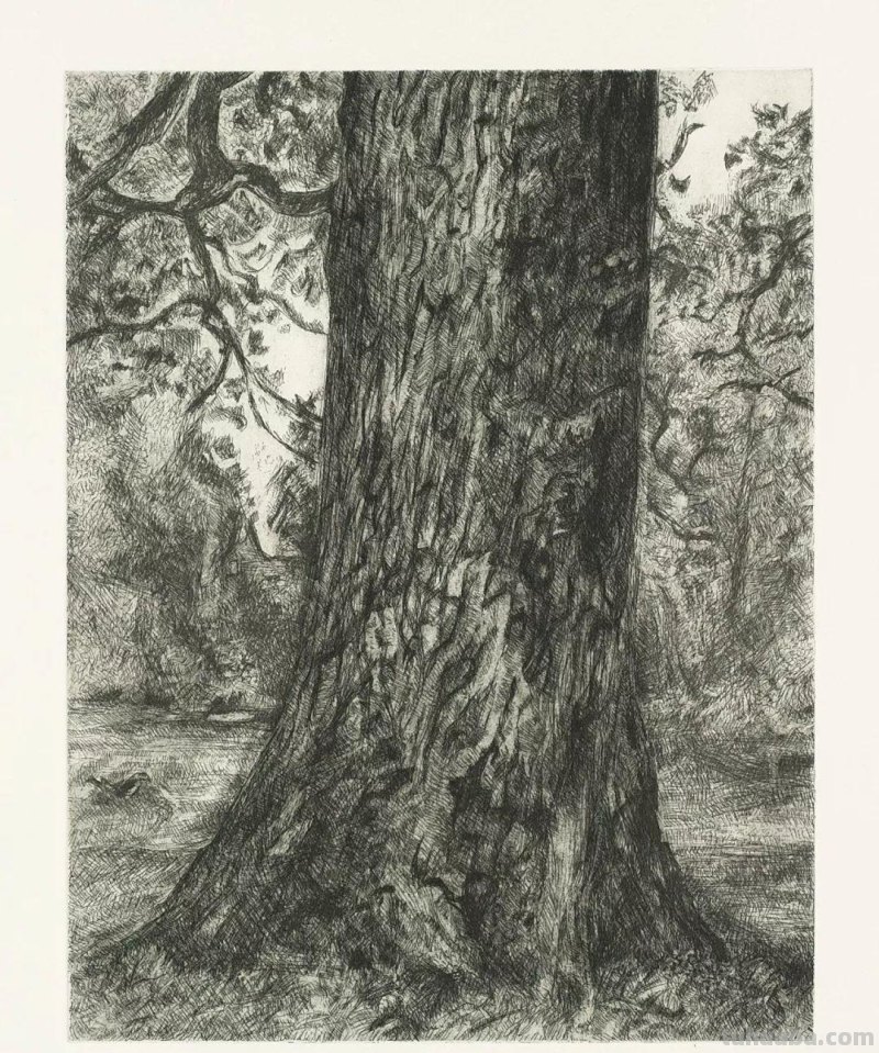 大师卢西安·弗洛伊德素描作品︱艺术名画