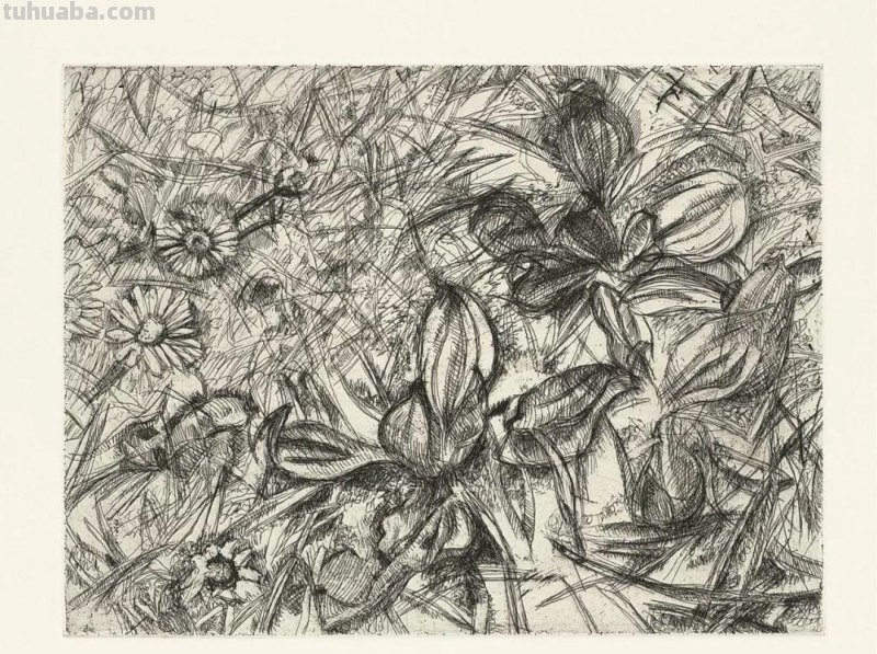 大师卢西安·弗洛伊德素描作品︱艺术名画