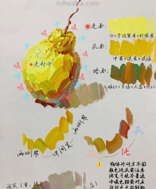 如何画出精美的梨色彩图片？ 