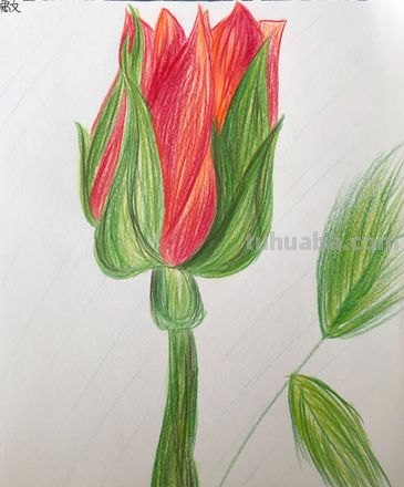 用彩铅画的画叫什么 用彩笔画的画叫什么画？