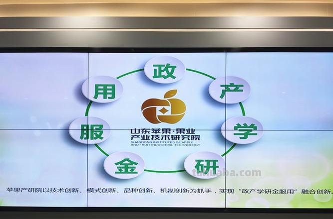 七色彩虹控股集团:打造多元化产业布局,引领时代潮流