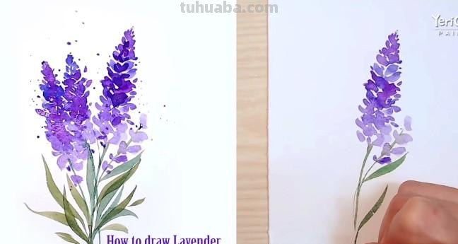 【薰衣草怎么画?教你使用色彩绘制唯美花卉】