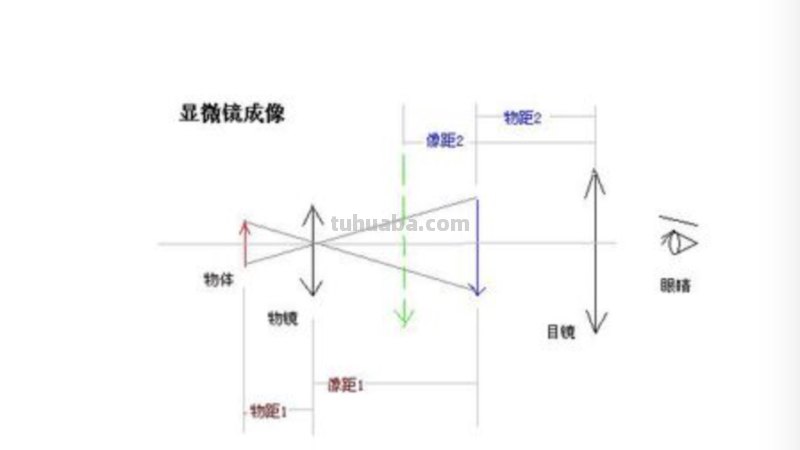 什么是虚物和实物?