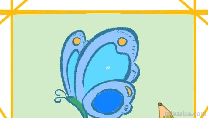 蝴蝶怎么画简笔画彩色 蝴蝶怎么涂颜色？