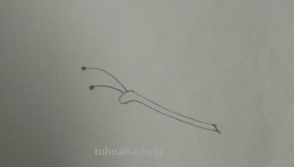 蝴蝶怎么画简笔画彩色 蝴蝶怎么涂颜色？