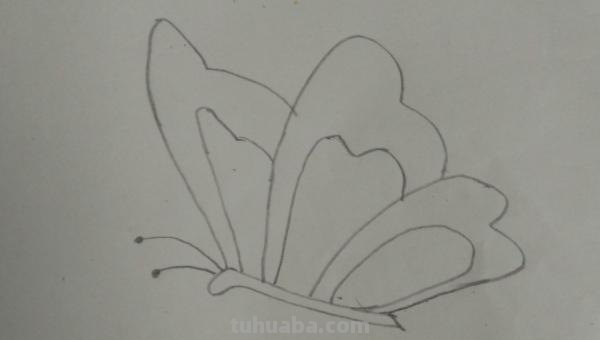 蝴蝶怎么画简笔画彩色 蝴蝶怎么涂颜色？
