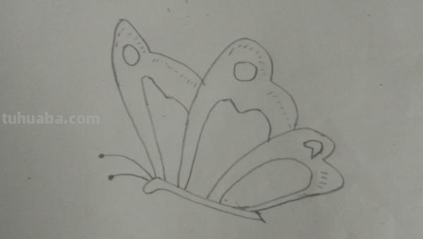 蝴蝶怎么画简笔画彩色 蝴蝶怎么涂颜色？