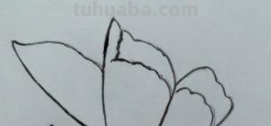 蝴蝶怎么画简笔画彩色 蝴蝶怎么涂颜色？