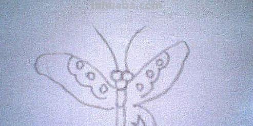蝴蝶怎么画简笔画彩色 蝴蝶怎么涂颜色？
