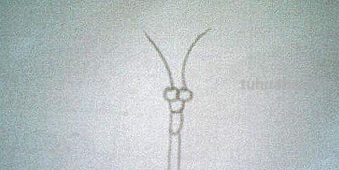 蝴蝶怎么画简笔画彩色 蝴蝶怎么涂颜色？