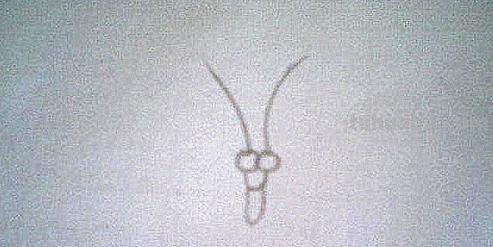 蝴蝶怎么画简笔画彩色 蝴蝶怎么涂颜色？