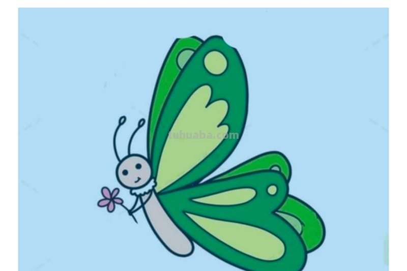 蝴蝶怎么画简笔画彩色 蝴蝶怎么涂颜色？