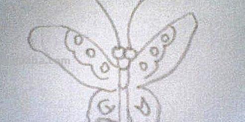 蝴蝶怎么画简笔画彩色 蝴蝶怎么涂颜色？
