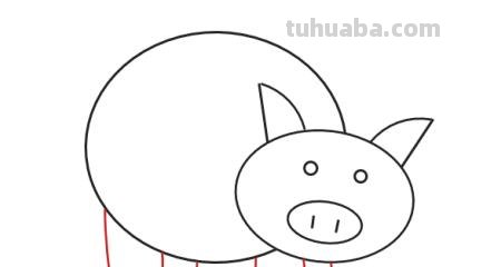 怎么画猪的简笔画 幼儿简笔画小猪的画法？