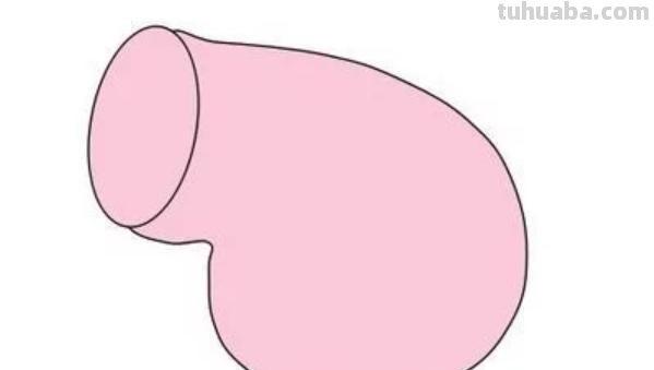 怎么画猪的简笔画 幼儿简笔画小猪的画法？