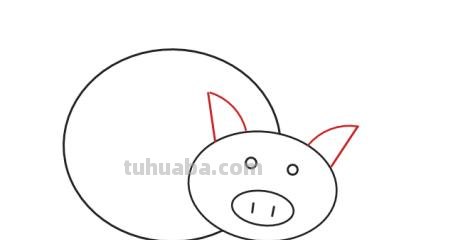 怎么画猪的简笔画 幼儿简笔画小猪的画法？