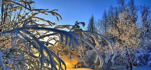 冬日的色彩:白雪皑皑中的万物色彩
