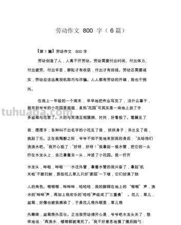 【劳动的色彩】——初中劳动的色彩作文800字 