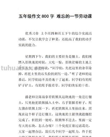 【劳动的色彩】——初中劳动的色彩作文800字 