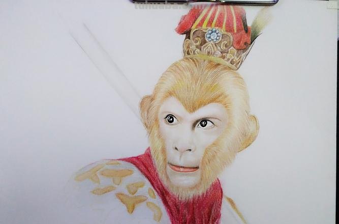 王者孙悟空怎么画彩铅画 孙悟空头颜色怎么涂?