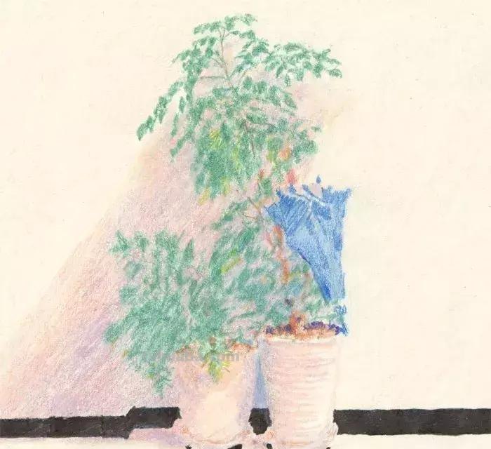 这100幅彩铅画，我猜你一定都想收藏起来！