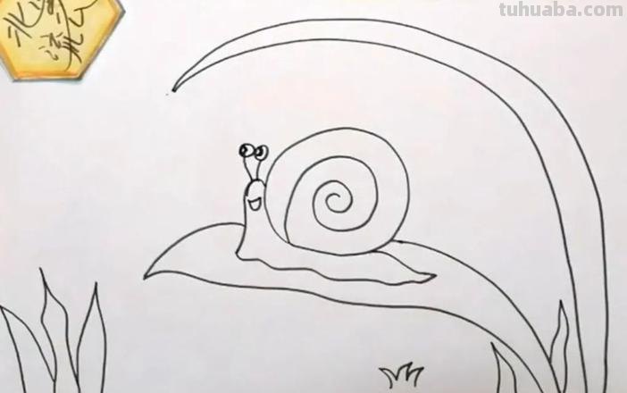 蜗牛吃什么食物简笔画 蜗牛最喜欢吃什么食物?