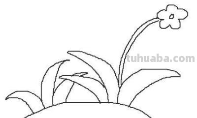 小花丛速写 花鸟速写教程？