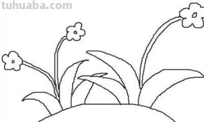 小花丛速写 花鸟速写教程？