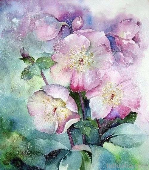 54种类型水彩绘画作品分享，喜欢水彩的点击收藏起来练手