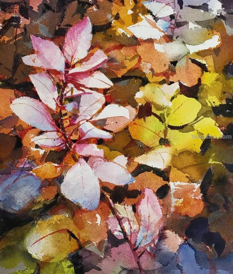 54种类型水彩绘画作品分享，喜欢水彩的点击收藏起来练手