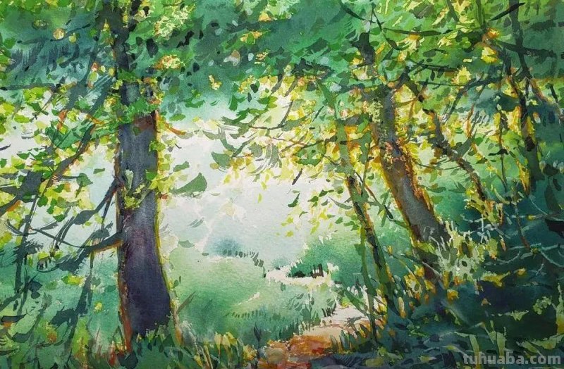 54种类型水彩绘画作品分享，喜欢水彩的点击收藏起来练手