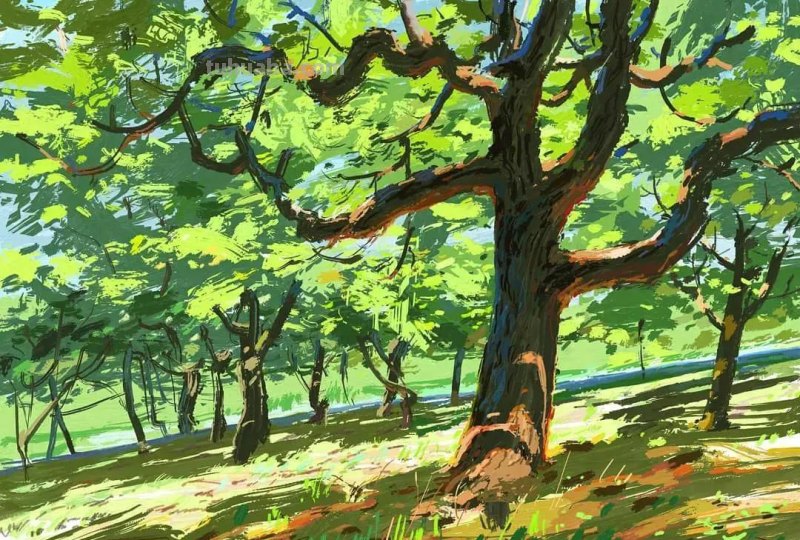 54种类型水彩绘画作品分享，喜欢水彩的点击收藏起来练手