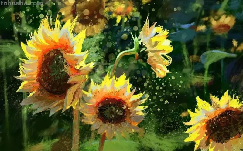 54种类型水彩绘画作品分享，喜欢水彩的点击收藏起来练手