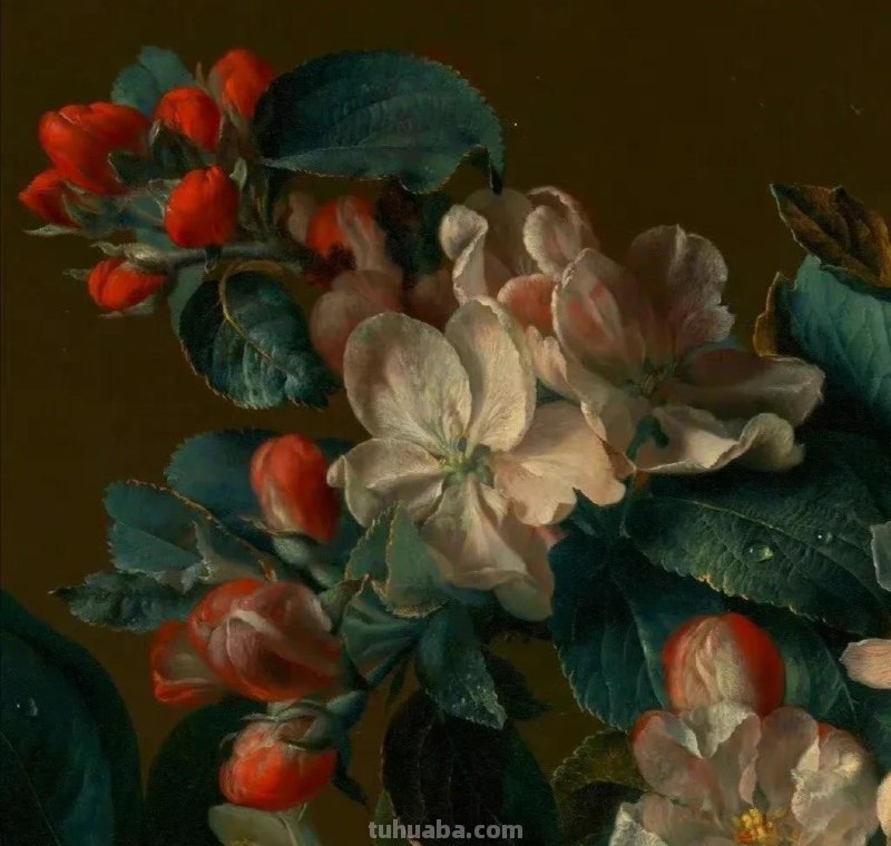 他的静物花卉油画，可以称赞为精美绝伦