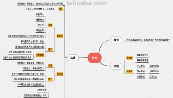用什么图做思维导图好呢 如何用Word做思维导图？