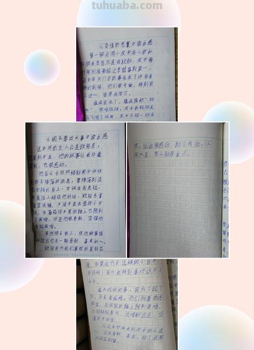 爷爷的铁皮桶怎么写读书卡 爷爷的铁皮桶赖妙宽的读后感怎么写？