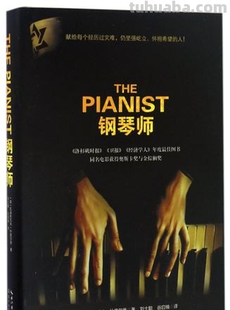 钢琴师和钢琴家的色彩分析:从音乐到视觉的艺术表达