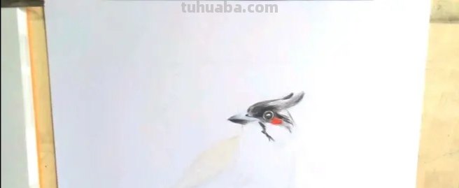 怎么画鸟彩铅画又漂亮 怎么样画鸟好看？