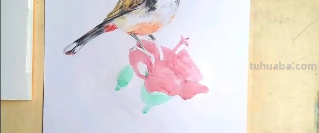 怎么画鸟彩铅画又漂亮 怎么样画鸟好看？