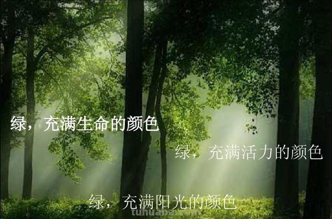 绿 生命的色彩及绿生命的颜色 